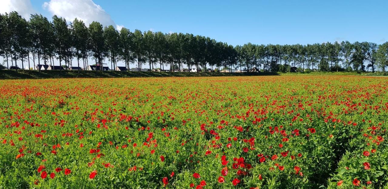 Villa Emilia - Gemuetliches Kinderfreundliches Blockhaus Mit Umzaeuntem Garten Sint Annaland Exteriér fotografie